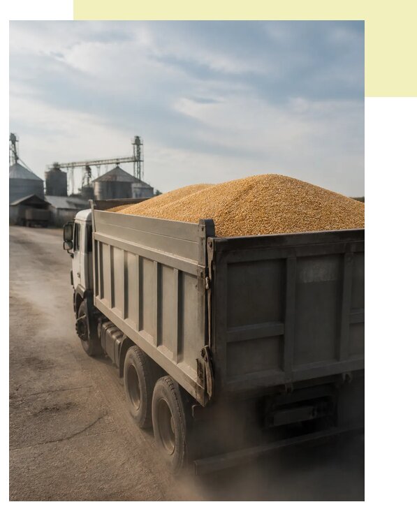 Перевозка сельхозпродукции навалом в Александрова по цене от 3213 р. | Агросервис-Лкн